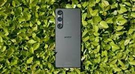 A Comprehensive Guide to Sony Phones in the UAE: Prices, Deals, and Shopping Insights